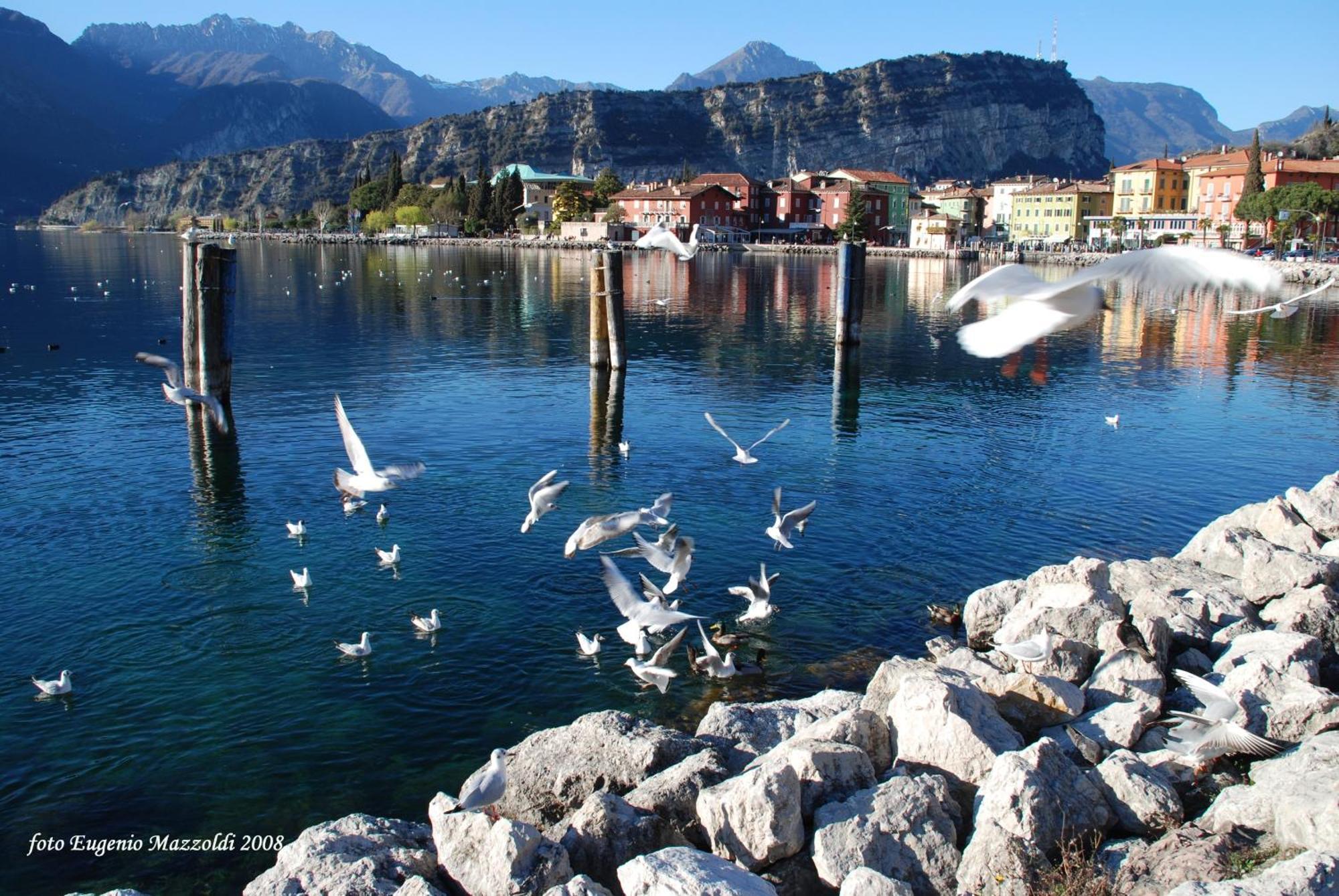 Casa Marco Appartement Torbole Sul Garda Buitenkant foto